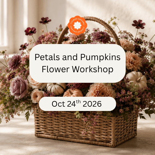Petals and Pumpkins